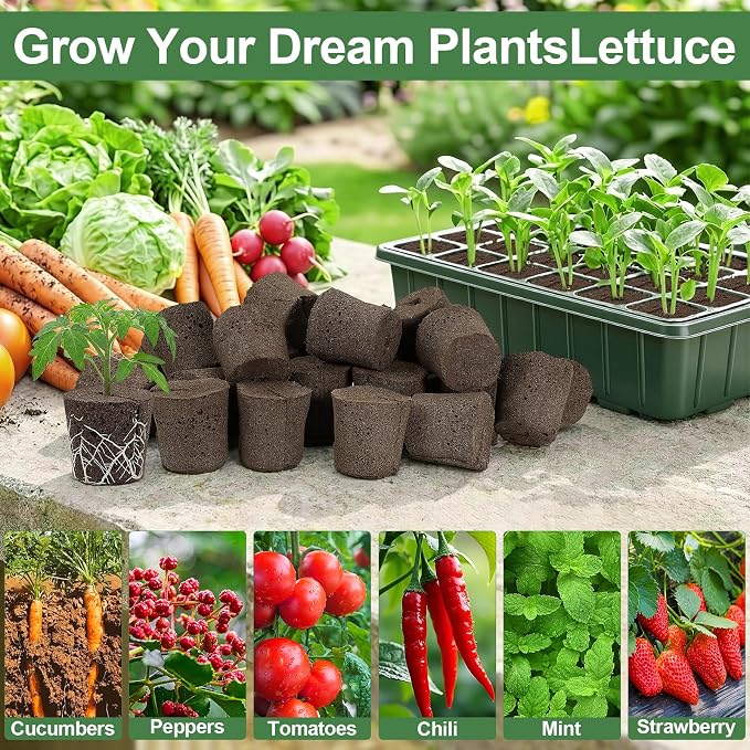 Upgrade Grow Sponges with Tray, 24 Pack Seed Starter Pods & Starter Plugs for Cuttings, Hydroponic Grow Sponges for Seed Starting, Plant Plugs for Herbs Vegetables Flowers, Easy Transplant Rooter Pods