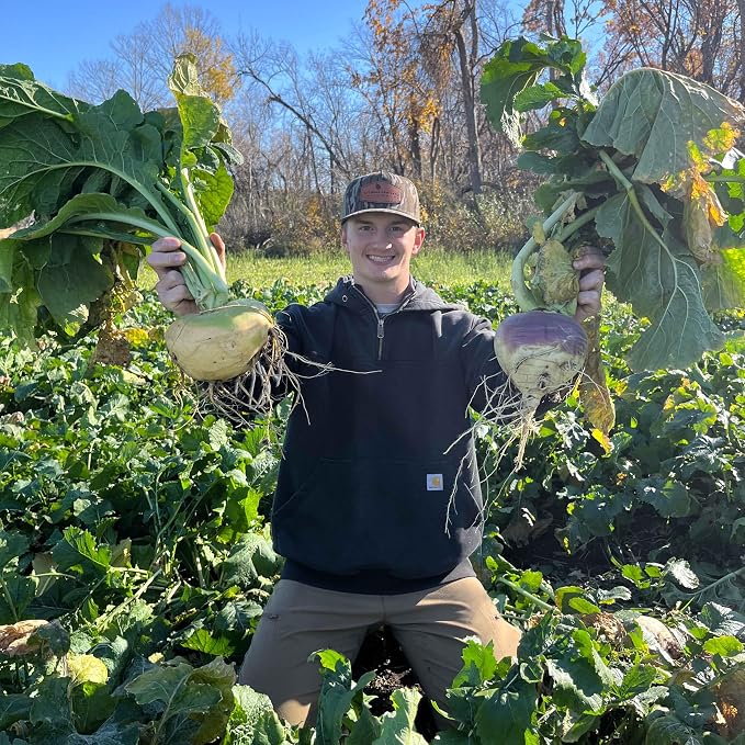 Purple Top Turnip Food Plot Seed for Planting - High Protein Brassica Deer Forage, Fast Growing Fall Annual Food Plot Seed, Plants Up to 1/2 Acre - 3 lb Jug