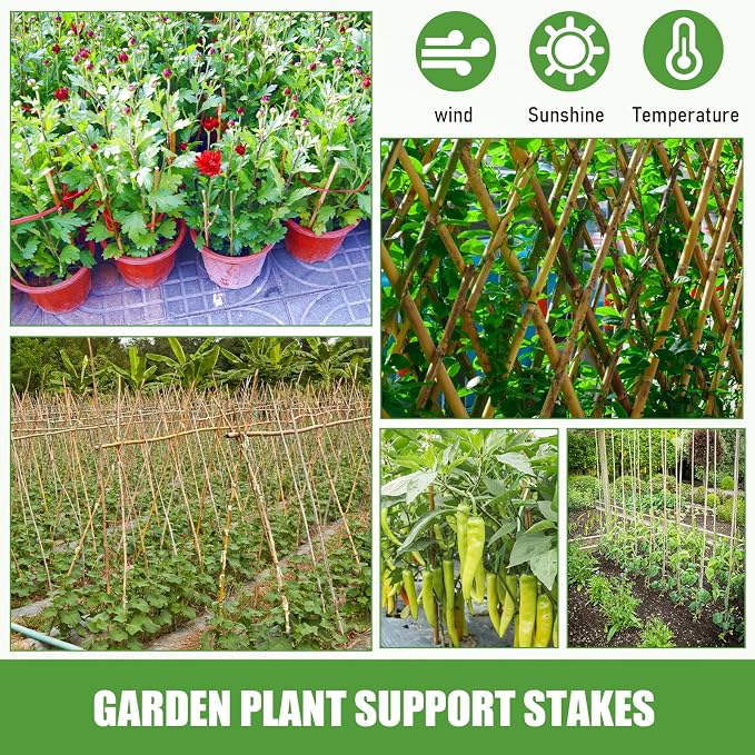 Suclain 30 Pcs Bamboo Plant Stakes Natural Garden Support Sticks for Climbing Plants Sturdy Bamboo Garden Stakes for Tomato, Beans, Flowers and Potted Plants, Vegetables, Indoor & Outdoor (1 ft)