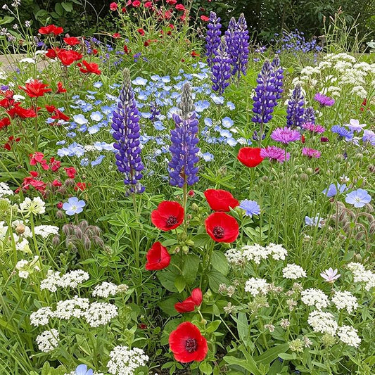 Ferry Morse Flower Seeds - Red, White & Blue Wildflower Mix, Non-GMO, Wild Flowers - 1 lb