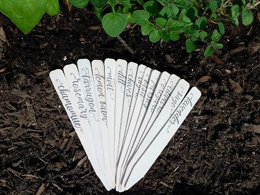 14-Pack! Culinary Herbs Farmhouse Decor Outdoor Indoor Kitchen Herb Garden Stakes, Christmas Stocking Stuffers, Plant Labels, Plant Tags, Garden Markers, Garden Gifts, Holiday Stocking Stuffers,