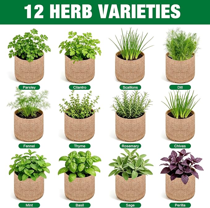 12 Herb Garden Kit - Indoor Herbs Seeds Growing Kit Gardening Gift Birthday Housewarming Christmas Gift for Women Her Men, Complete Starter Set for Beginner