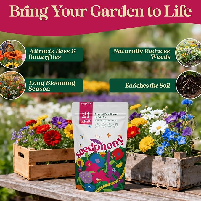 Seedphony 21 Annual Wildflower Mix 4 oz - 100,000 Non-GMO Heirloom Wildflower Seeds for Planting Garden, Wild Flowers in Waterproof Seed Packet, Wild Flowers to Attract Bees, Butterflies & Birds