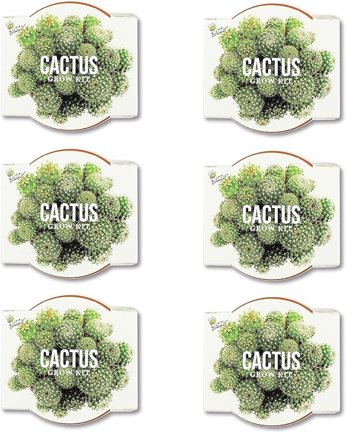 Buzzy Seeds Cactus Daydream Collection Grow Kit 6-Pack - Mini Terracotta Pot Grow Set - Complete Indoor Gardening Kit with Seeds, Coconut Husk Growing Medium & Genuine Pots - 100% Grow Guarantee