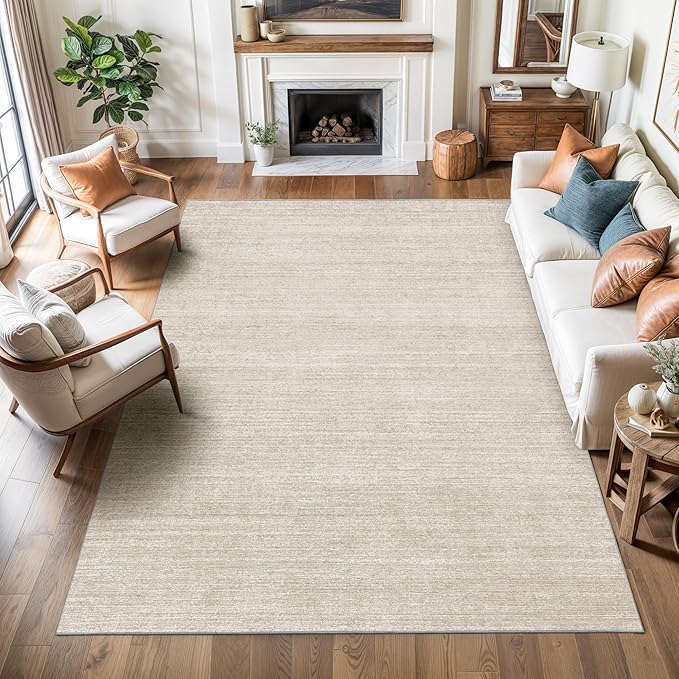 Valenrug 3x5 Area Rug Non Slip, Washable Entryway Rug for Bedroom Beige | Soft Low Pile, Thin & Lighweight Carpet, Folable Stain Resistant Modern Indoor Floor Mat for Living Room,Kitchen, Home Decor