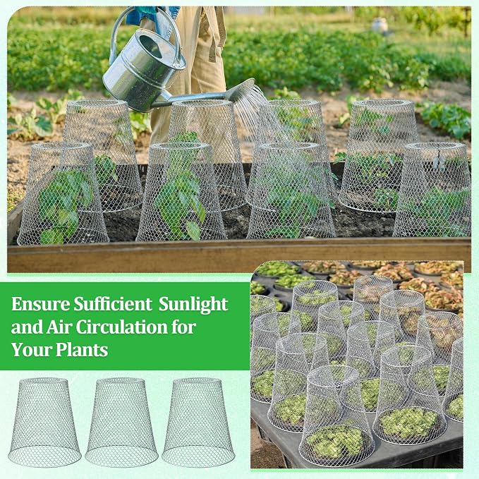 Therwen 20 Pcs Large Plant Wire Cloche 11 x 12 Inch Metal Garden Cloche with Garden Stakes Plant Protector from Animals for Keeping Bunnies Chicken Squirrels Birds (Silver)