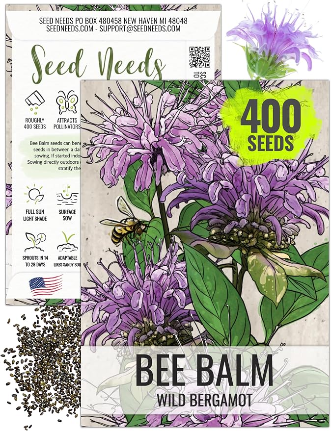 Seed Needs Wild Bee Balm Seeds to Plant Bergamot Perennial Flowers 1 Pack