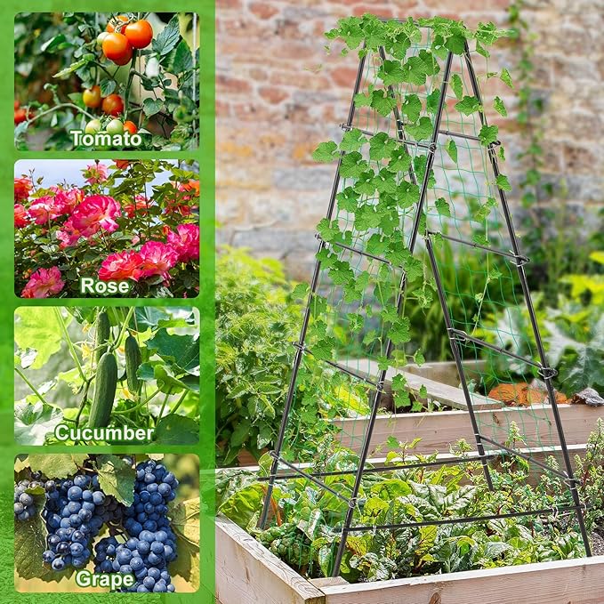 Cucumber Trellis for Raised Garden Bed, 71" H x 32" W A Frame Garden Trellis for Climbing Plants Outdoor, Metal Climbing Vine Plant Support Fruits Vegetables Tomato Peas Beans Trellis, Black