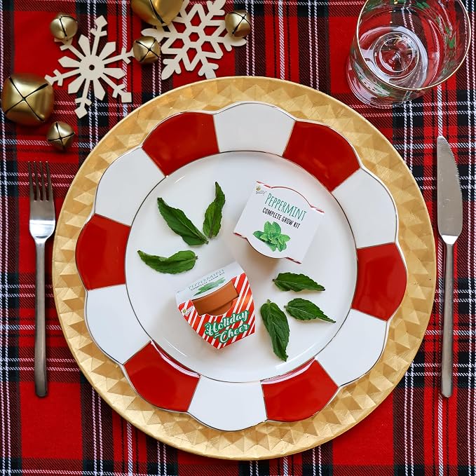BUZZY Seeds Holiday Candy Cane Peppermint Grow Kit 6-Pack - Mini Terracotta Pot Grow Set - Complete Indoor Gardening Kit with Seeds, Coconut Husk Growing Medium & Genuine Pots - 100% Grow Guarantee