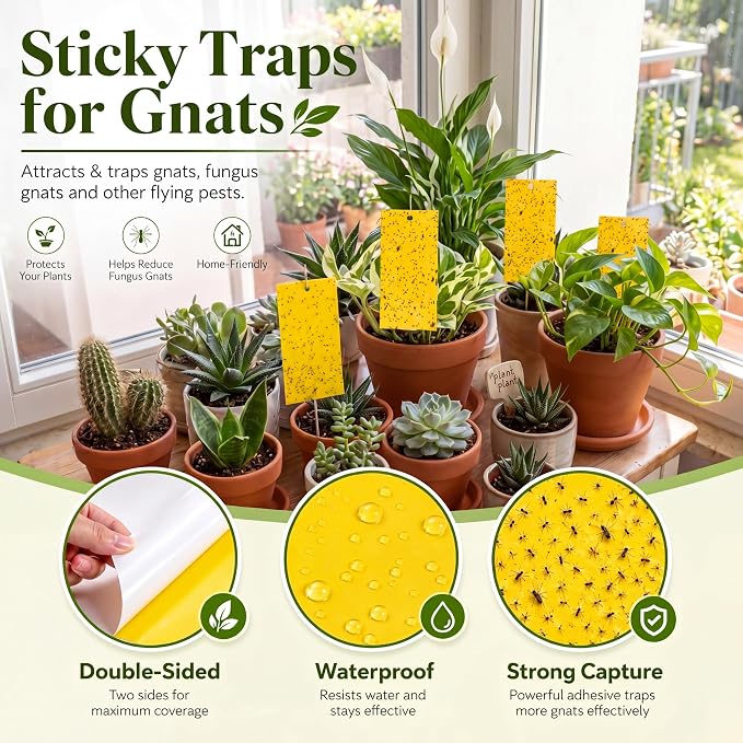 Qualirey 250 Pcs 7.8 x 3.9 Inch Yellow Sticky Traps for Plant Double Sided Sticky Trap for Gnats with Twist Ties Fly Traps for Fruit Insect Fungus Bugs Indoor Outdoor