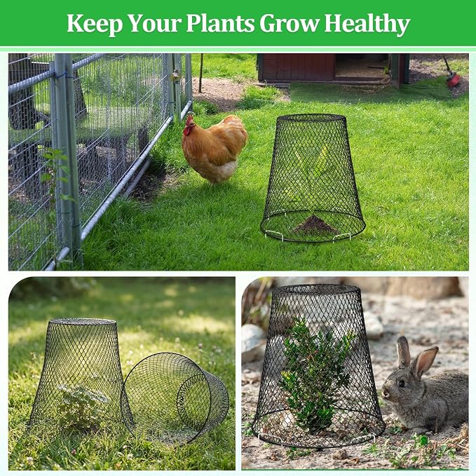 Therwen 10 Pcs Large Plant Wire Cloche 11 x 12 Inch Metal Garden Cloche with Garden Stakes Plant Protector from Animals for Keeping Bunnies Chicken Squirrels Birds (Black)