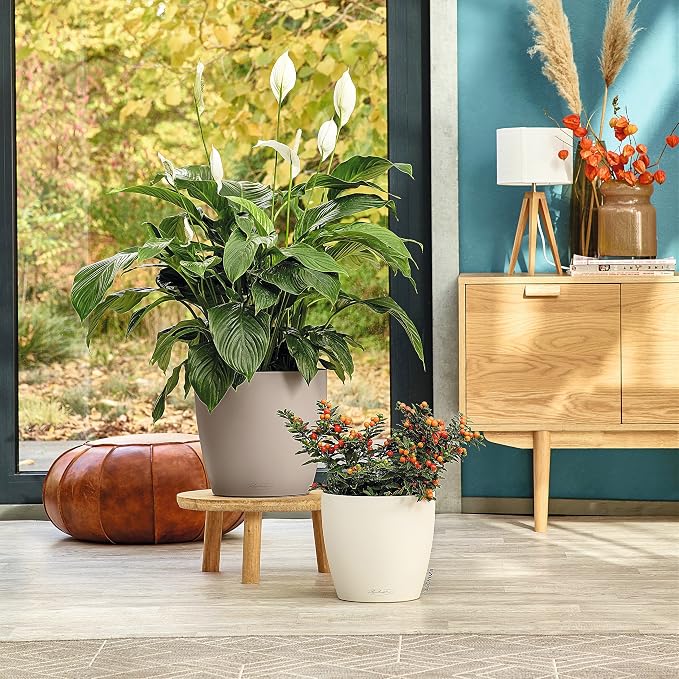 Lechuza Classico Color 35 Sand Brown, Self-Watering Round Planter, D13.8 H11.8 in