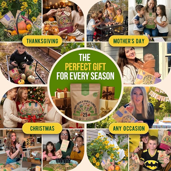 25 Culinary Herbs & Edible Flower Seed Variety Pack for Planting Indoor & Outdoors. 11900+ Non-GMO Heirloom Flower Seeds: Basil, Borage, Echinacea, Lavender, Oregano, Rosemary Seeds & More