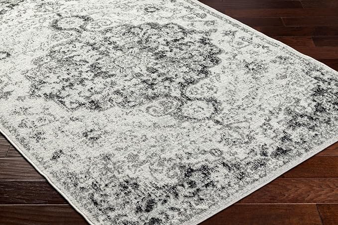 Livabliss Odelia Vintage Bohemian Runner Area Rug,2'7" x 7'3",Black