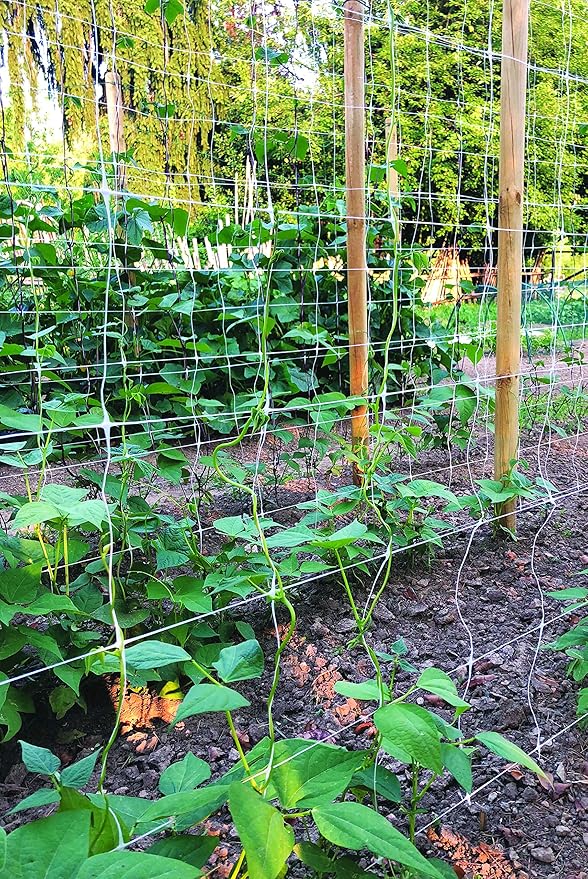 TENAX Hortonova Trellis 6.5x100 White Net
