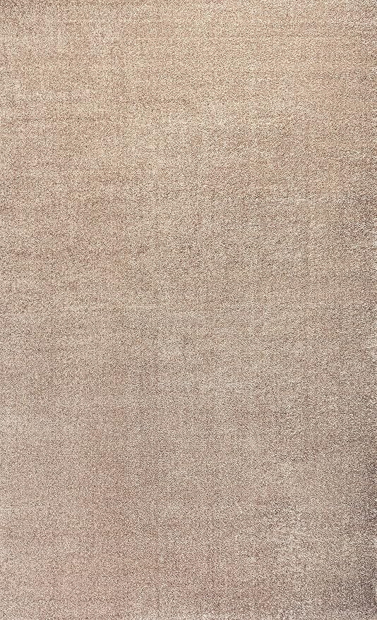 JONATHAN Y Haze Solid Low-Pile Beige Indoor Area Rug 12x15, Coastal,Bohemian,Minimalist,Classic, Easy-Cleaning for Living Room,Bedroom,Kitchen,Pet Friendly,Non-Shedding (SEU100G-15)