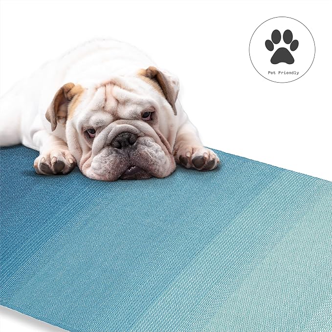 Fab Habitat Ombre Outdoor Rug - Waterproof, Fade Resistant, Crease-Free, Reversible - Premium Recycled Plastic - Patio Porch Balcony Deck - Big Sur Teal - 8x10 ft
