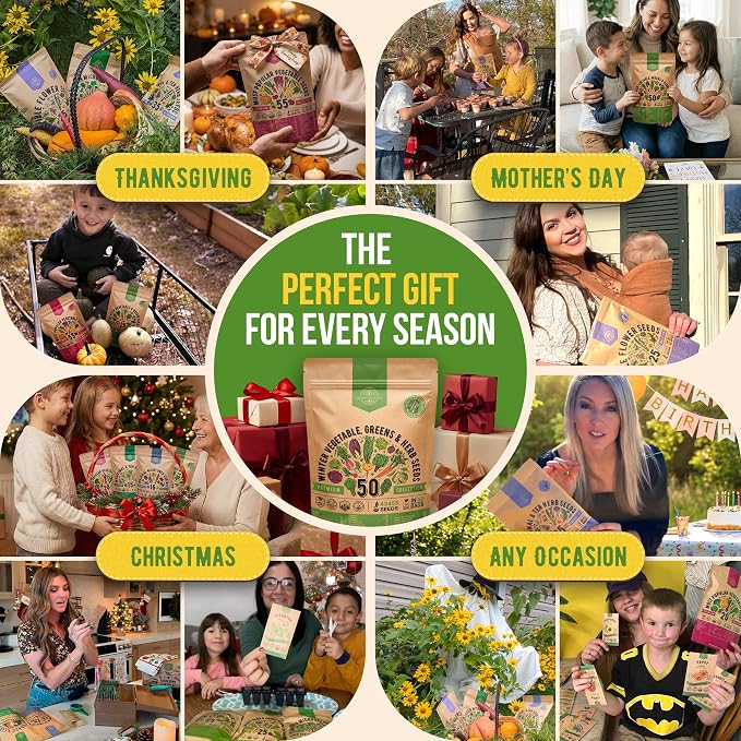 50 Winter Vegetable Garden Seeds Variety Pack - 43,450+ Non-GMO Heirloom Seeds for Outdoors & Indoor Home Gardening, Including Kohlrabi, Lettuce, Radish, Onion, Choy, Spinach, Cauliflower, Collards