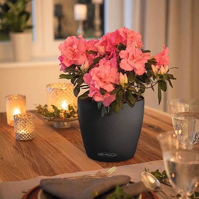 Lechuza Classico Color 18 Garden Small Flower Plant Pot Indoor Outdoor Table Plastic Planter with Drainage Hole D19 H17 cm Slate