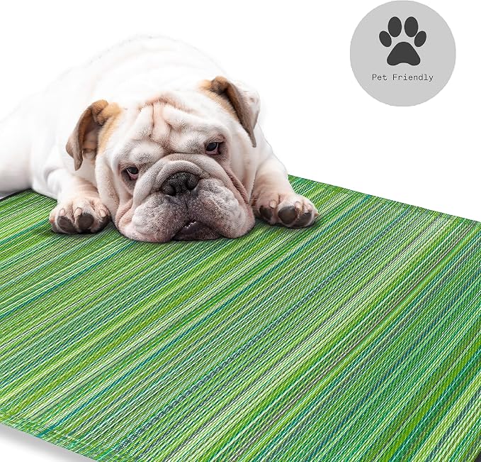 Fab Habitat Striped Outdoor Rug - Waterproof, Fade Resistant, Crease-Free, Reversible - Premium Recycled Plastic - Patio Porch Balcony Deck - Cancun Green - 8x10 ft
