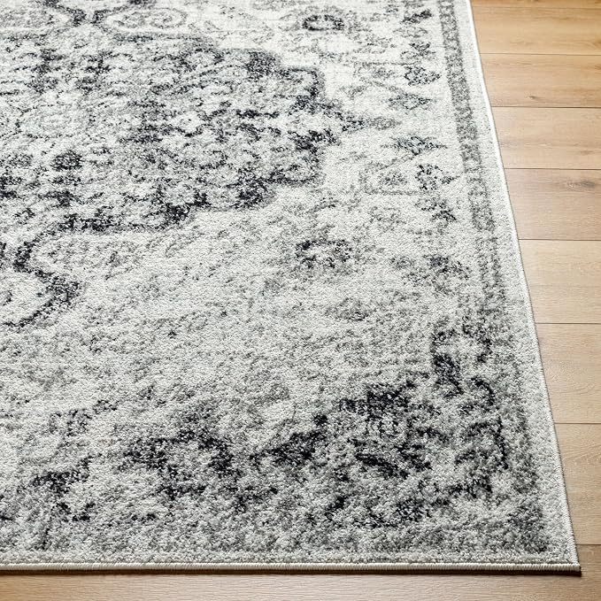 Livabliss Odelia Vintage Bohemian Area Rug,3'11" x 5'7",Black