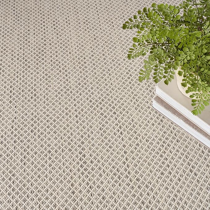 Nourison Home Courtyard Ivory Silver 10' x Round Area Rug - Easy Clean, Non Shedding, Bed Room, Living Room, Dining Room, Kitchen (10' x Round)