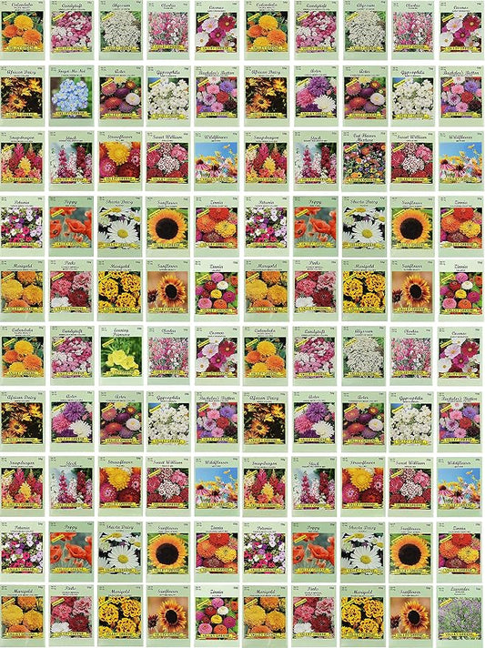 Set of 100 Assorted Valley Green Flower Seed Packets! Flower Seeds in Bulk - 20+ Varieties Included