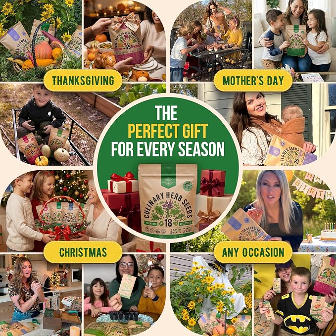 Organo Republic 18 Culinary Herbs Seeds Variety Pack - 10,180+ Heirloom, Non-GMO, Herbs Seeds for Outdoor and Indoor Home Gardening, Including Rosemary, Thyme, Oregano, Mint, Basil, Parsley