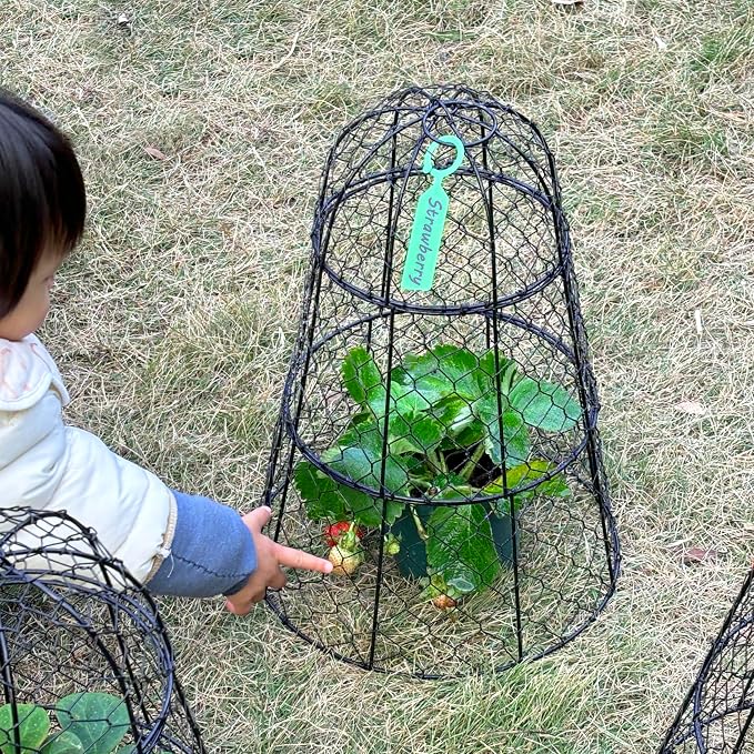 6 Pack 11.4" D x 17.7" H Garden Cloches for Plants,Rustproof Chicken Wire Cloches Flip-Top Design,Upgraded Triple Combination,Plant Protectors from Animals,Ideal for Outdoor Plant Protection