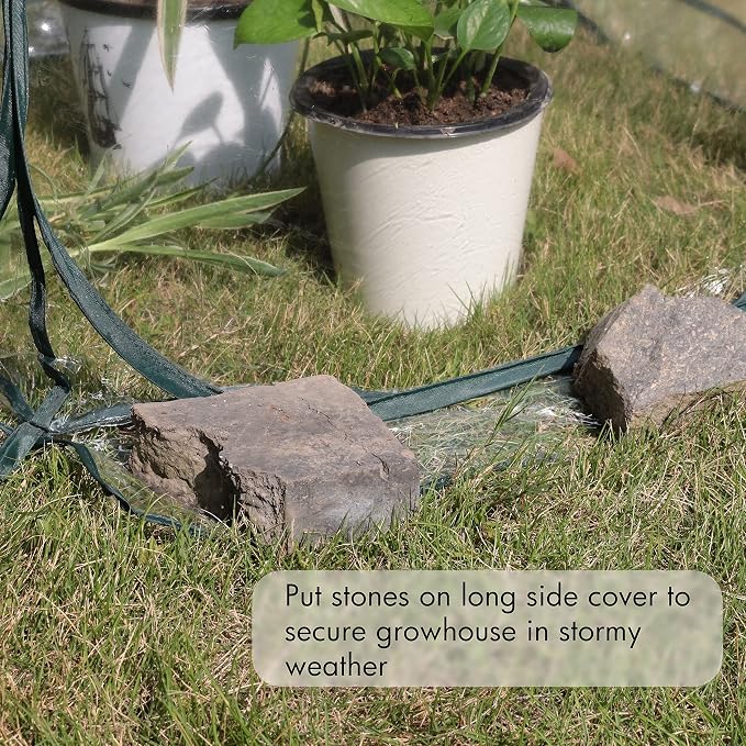 Gardzen 27"x27"x31" Pop up Grow Tent Small Greenhouse, Steel Frame Portable Plant Flowers Mini Green House Zipper Cover for Outdoor & Indoor Use