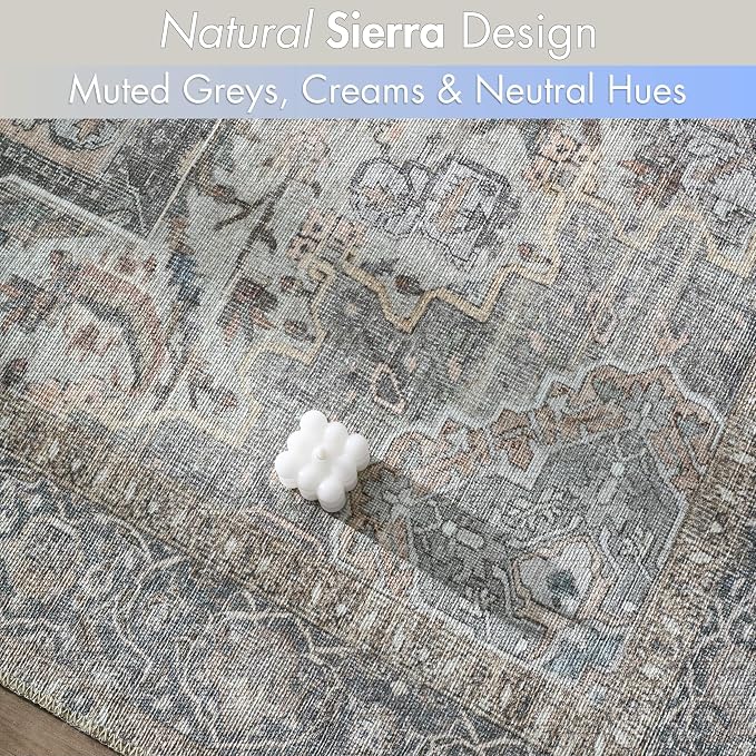 Sacred Artisans Vintage 3x5 Area Rug for Entry, Kitchen, Mudroom and Foyer | Washable, Pet Friendly, Durable and Low Pile (Sierra, 3' x 5')
