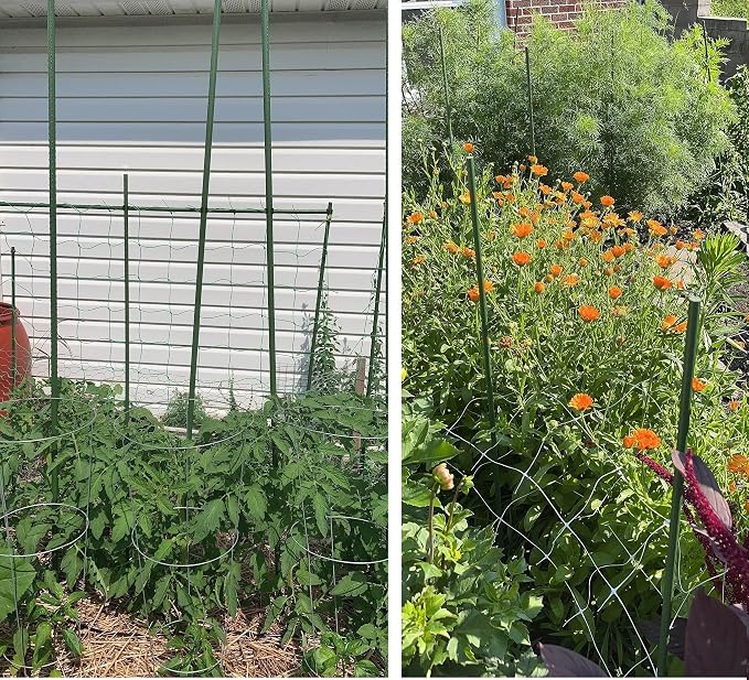 48 Inch Plant Support Garden Stakes, Steel Tomato Plant Stakes, Pack of 25