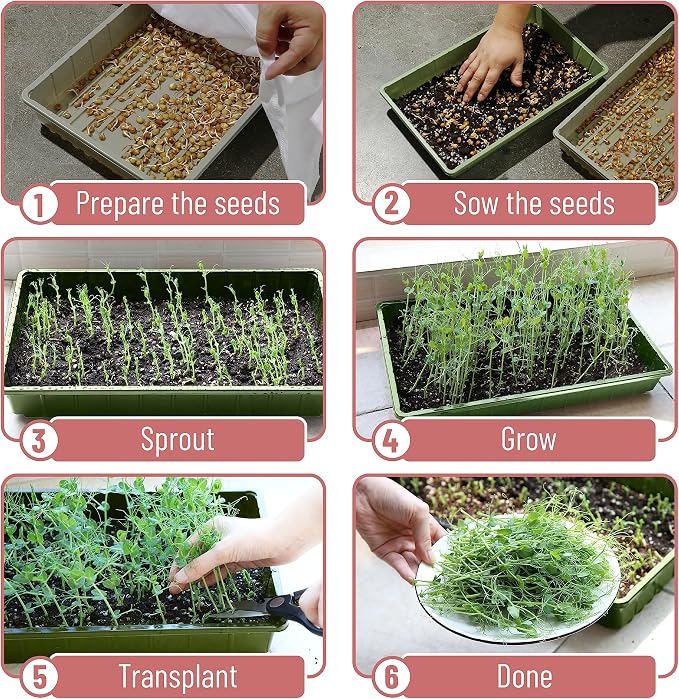 Mr. Pen- Seed Starter Trays, 10 Pack, 17"x10"x2.4" | Durable Plastic Growing Trays, Stackable and Reusable Seedling Starter Kits for Indoor, Outdoor, Greenhouse Gardening