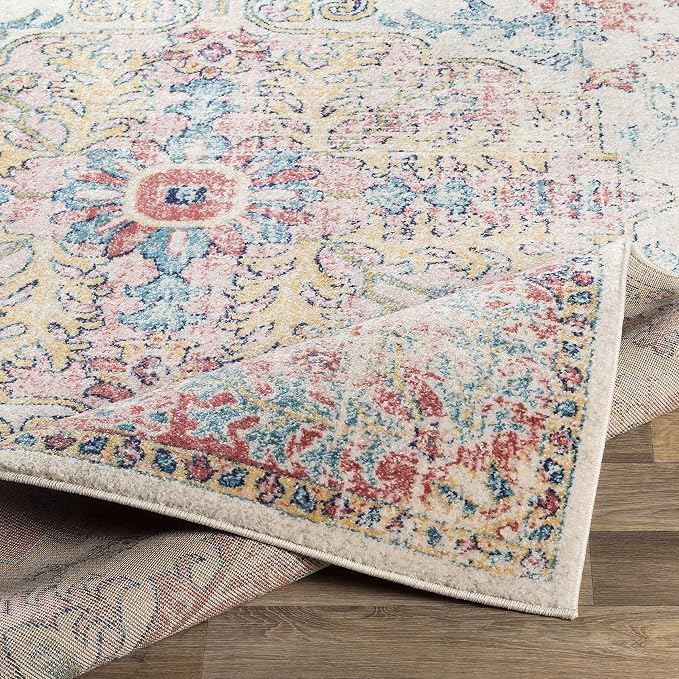 Livabliss Area Rugs - 7x9 Odelia Vintage Boho Red Off-White Blue Area Rug for Living Room Bedroom - Floral Medallion Stain Resistant Carpet for Kitchen, Nursery, Office (6'7" x 9')