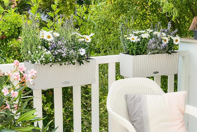 Lechuza BALCONERA Cottage 50 White, Self-Watering Window Box (Railing Planter), H7.5 L19.7 W7.5 in