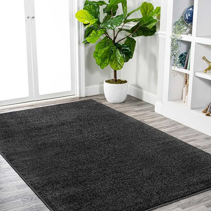 JONATHAN Y Haze Solid Low-Pile Black Indoor Area Rug 4x6, Coastal,Bohemian,Minimalist,Classic, Easy-Cleaning for Living Room,Bedroom,Kitchen,Pet Friendly,Non-Shedding (SEU100I-4)