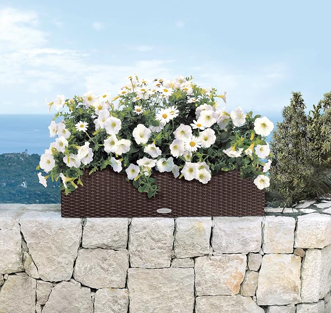 Lechuza BALCONERA Cottage 80 Mocha, Self-Watering Window Box (Railing Planter), H7.5 L31.5 W7.5 in