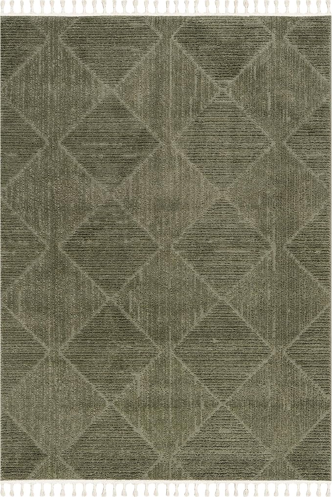 nuLOOM Kerry Green Trellis Power Loomed Area Rug, 10' x 13' | Nuloom Kerry Trellis 10' x 13' Area Rug for Living Room Bedroom Dining Room, Green