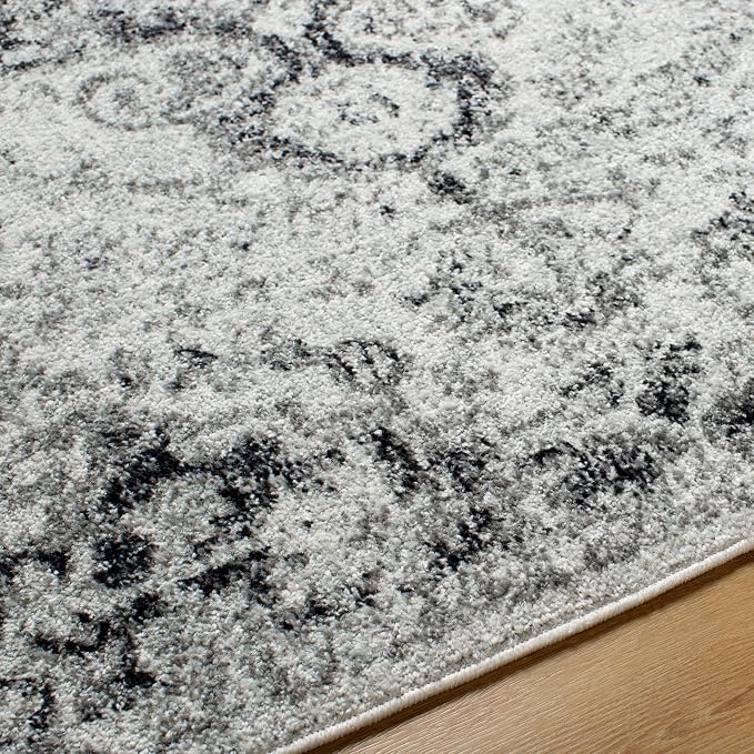 Livabliss Odelia Vintage Bohemian Area Rug,3'11" x 5'7",Black