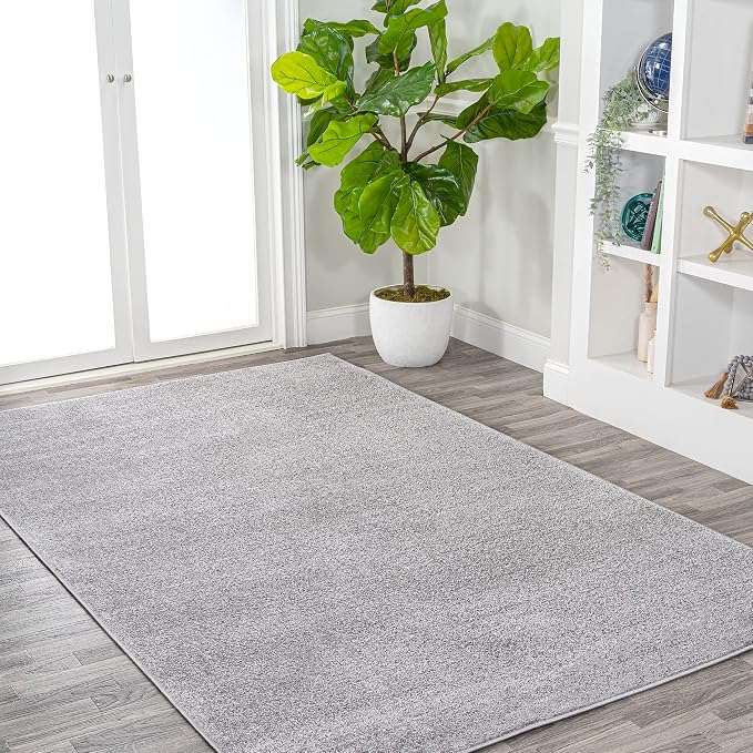 JONATHAN Y Haze Solid Low-Pile Light Gray Indoor Area Rug 4x6, Coastal,Bohemian,Minimalist,Classic, Easy-Cleaning for Living Room,Bedroom,Kitchen,Pet Friendly,Non-Shedding (SEU100K-4)